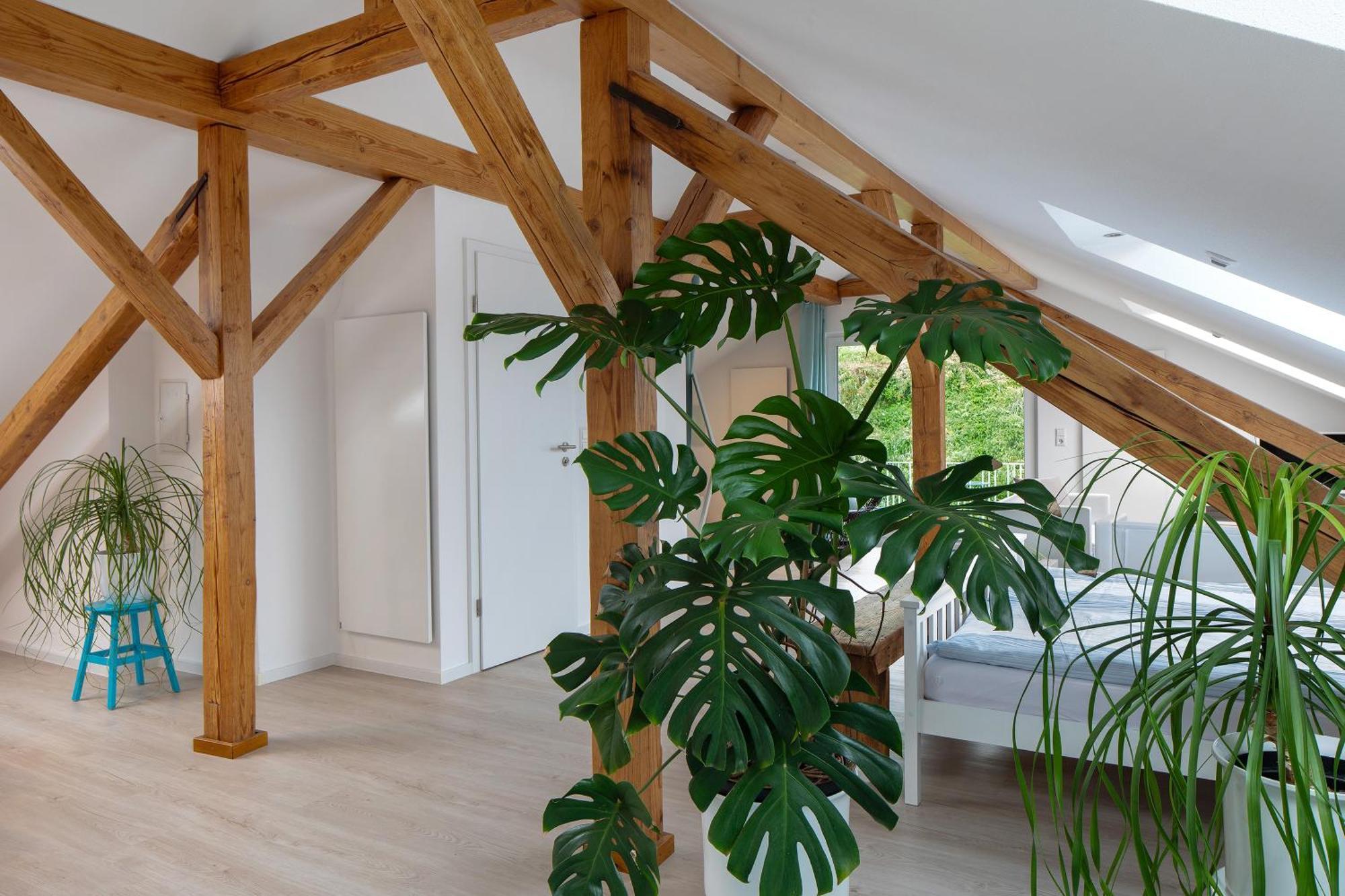 Ferienhaus Engelsberghof Endingen am Kaiserstuhl Eksteriør bilde